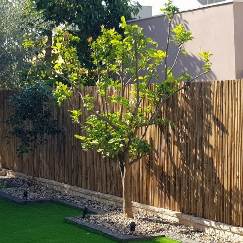 עיצוב גינה וגדר במבוק